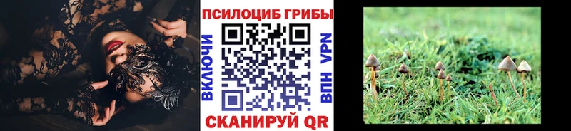 Псилоцибиновые грибы Cubensis  купить наркоту  Скопин 