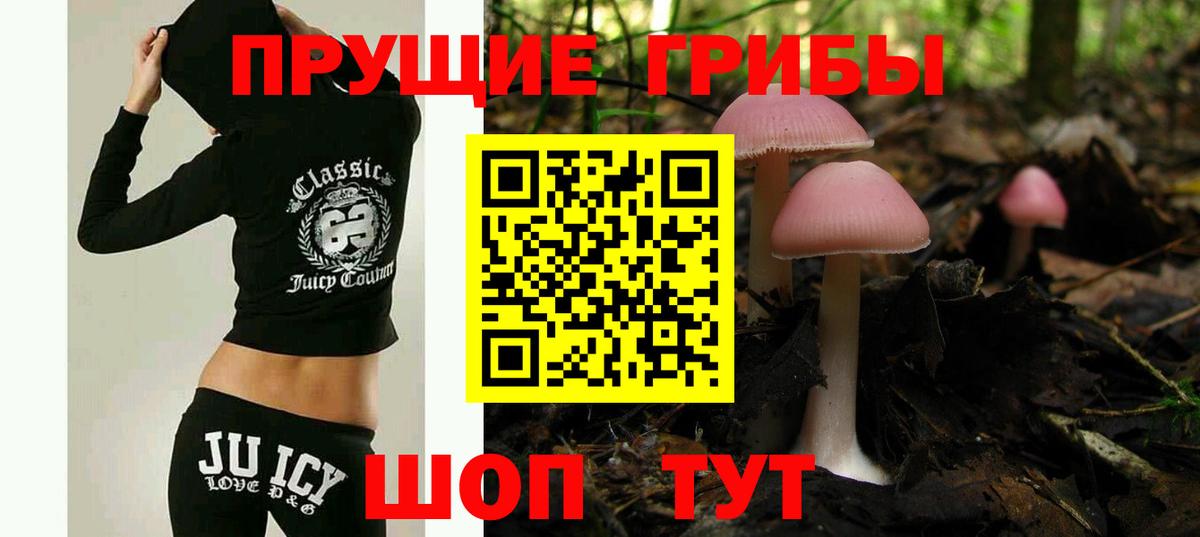Псилоцибиновые грибы мицелий Скопин